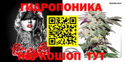 соль ск Аргун