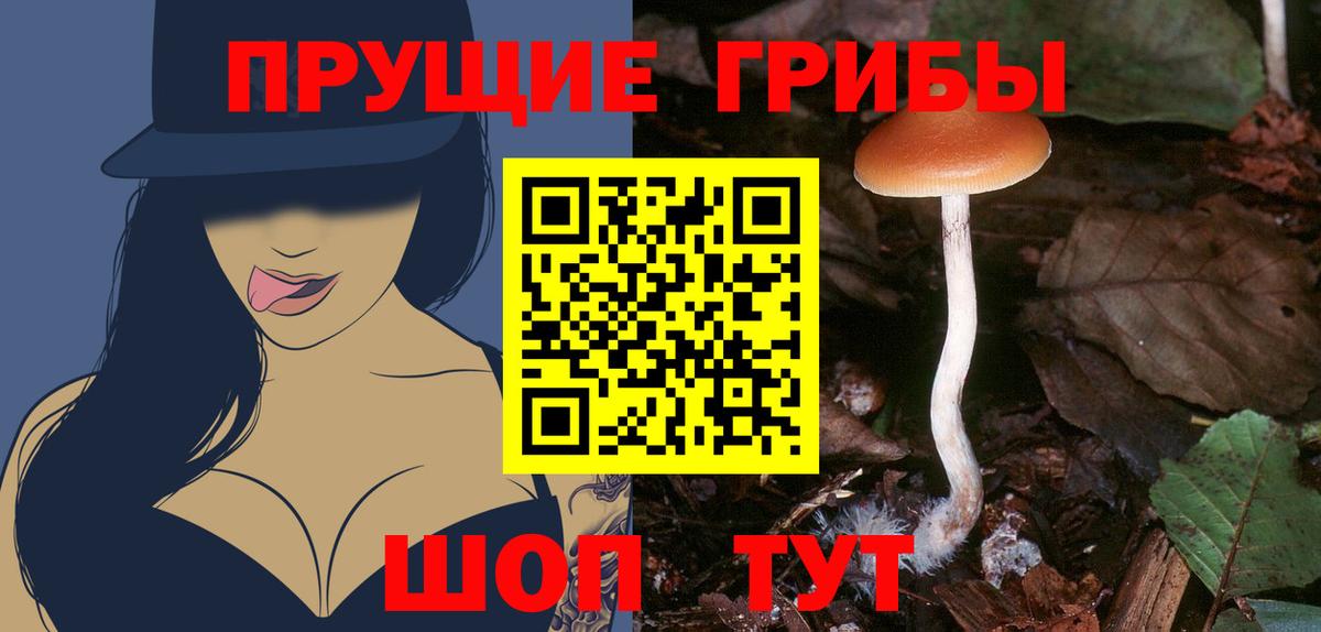 Великие Луки  Галлюциногенные грибы ЛСД  Вход с VPN 